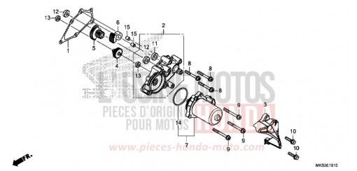 INGRANAGGIO RIDUTTORE CRF1100DL di 2020